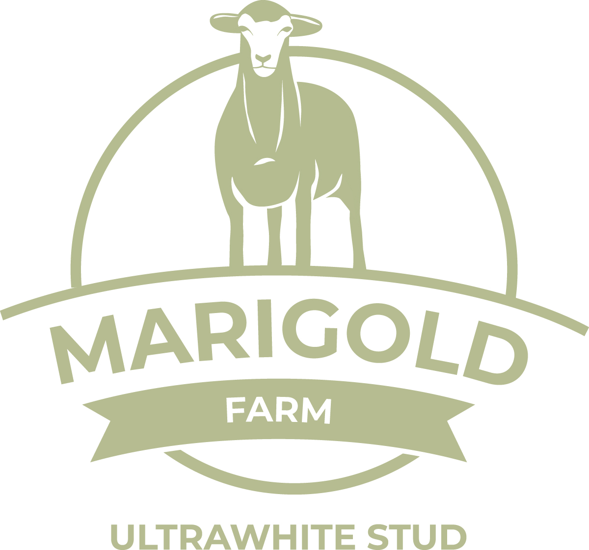 Marigold Farm UWS Colour